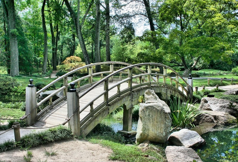 GreenSavings Landscaping Services